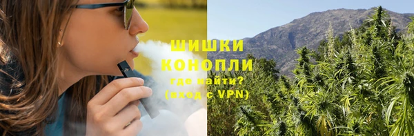 дурь Заводоуковск